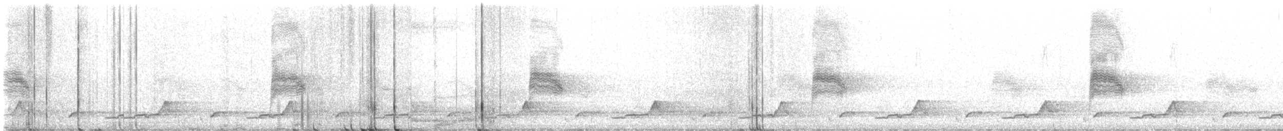 Schwarzkehl-Nachtschwalbe - ML455489871