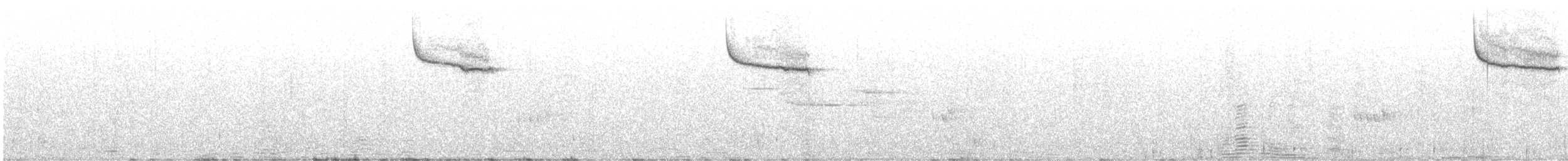 Остроклювый овсяночник - ML455549191