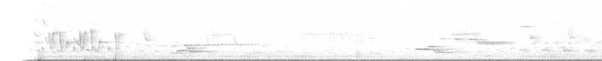 Connecticut Warbler - ML455629301