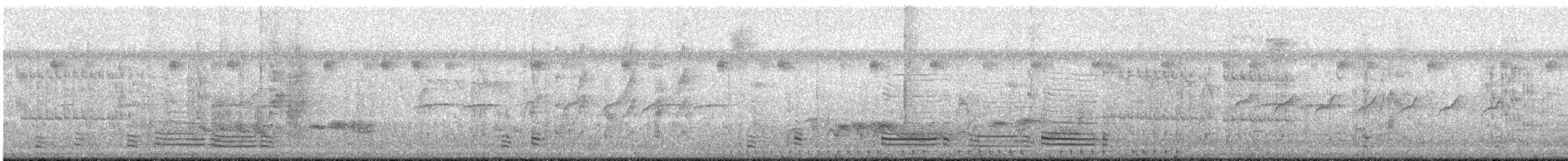Острохвостый ибис - ML455644191