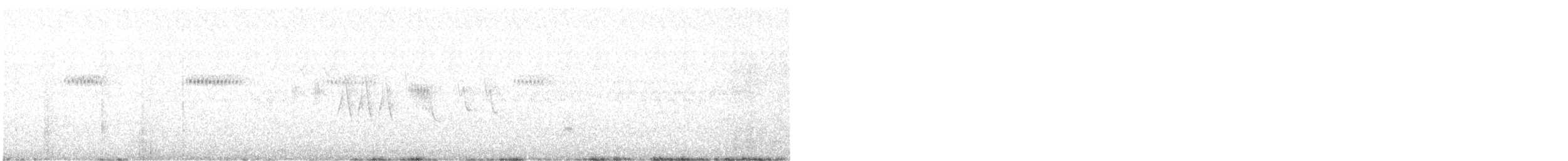 Broad-tailed Hummingbird - ML455669131