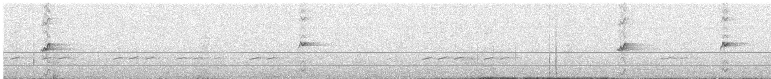 svarthettehonningeter - ML455781711