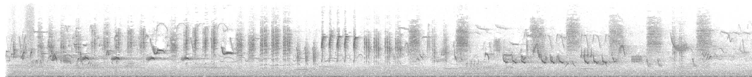 קנית פסים - ML455784161