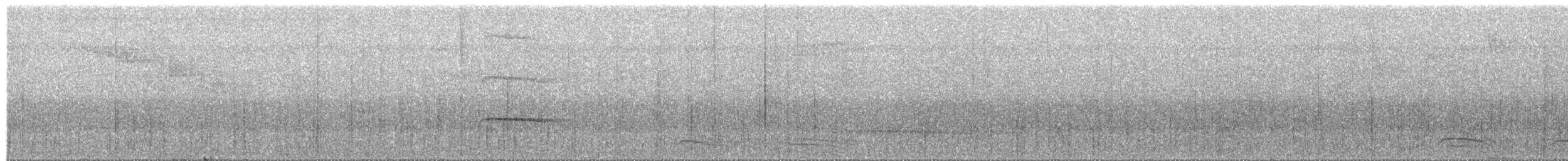 Olivaceous Schiffornis - ML455787491