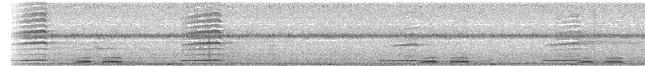 Kuckuckskauz - ML455792911