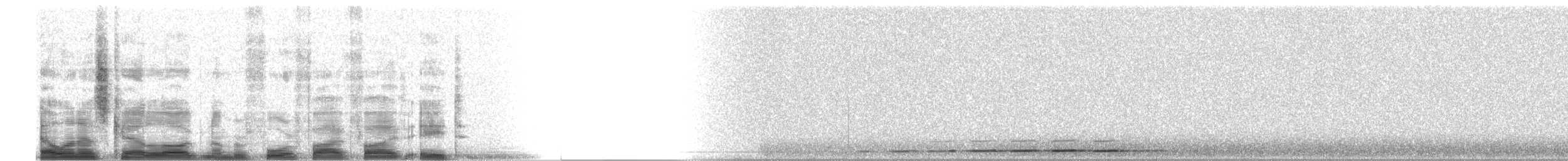 Boreal Owl (Tengmalm's) - ML4558