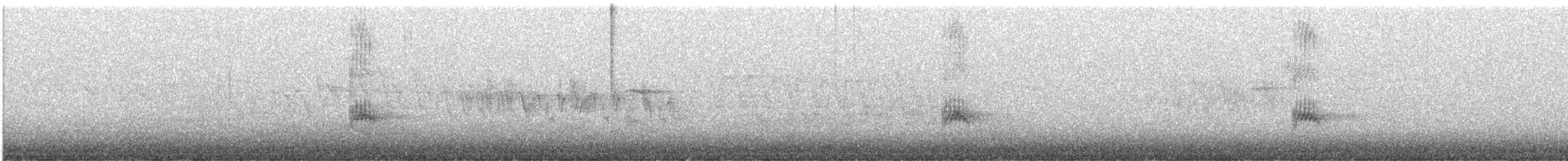 Black-throated Gray Warbler - ML455807771