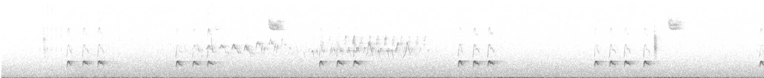 Olivflanken-Schnäppertyrann - ML455824091