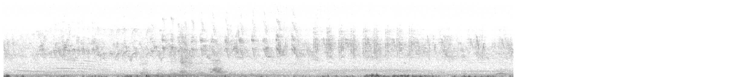 Серпокрилець білочеревий - ML455855211