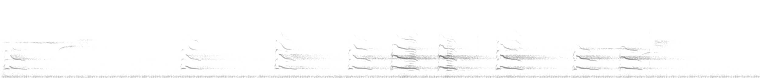 セグロカモメ（亜種 アメリカセグロカモメ） - ML455914221