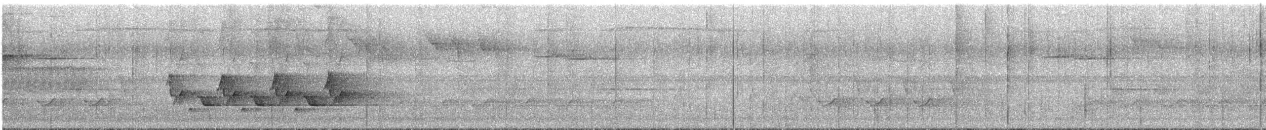 Поплітник каролінський - ML455951321