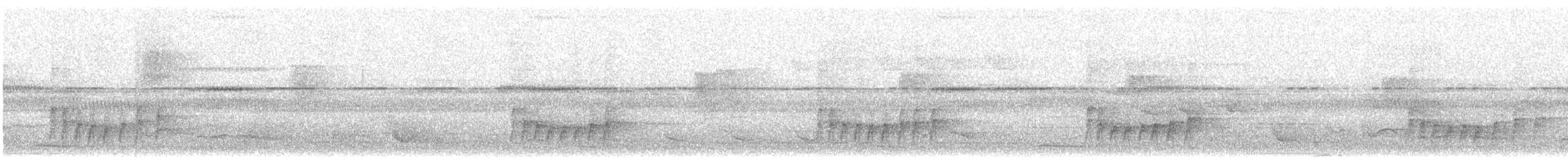 Black-tailed Leaftosser - ML455978711