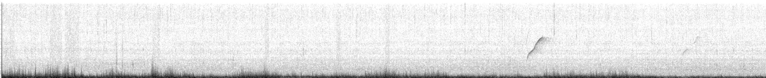 Batı Amerika Sinekkapanı (occidentalis/hellmayri) - ML455982691