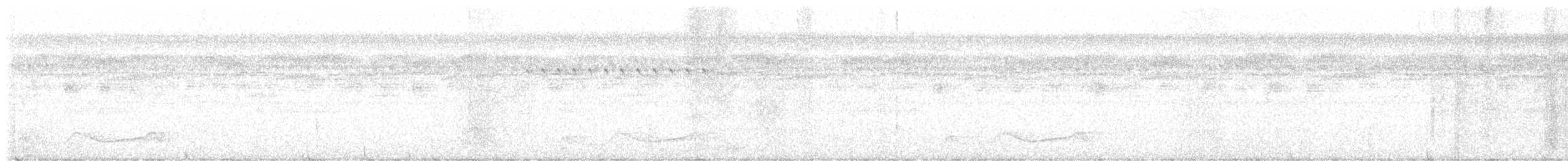 Belizenachtschwalbe - ML456006501