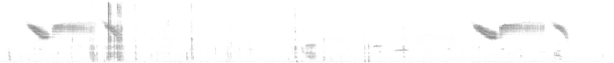 雑種 キンバネアメリカムシクイ ｘ アオバネアメリカムシクイ - ML456049071