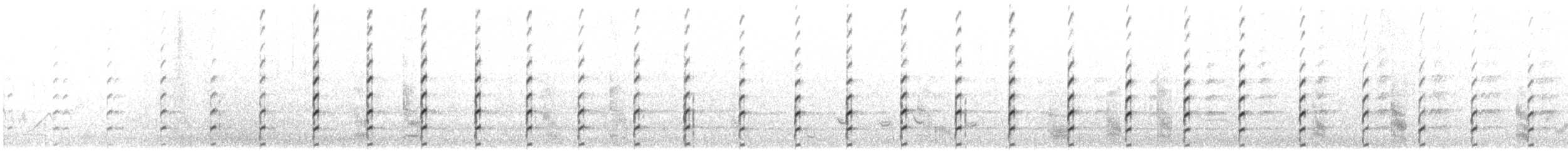 Stelzenläufer - ML456055991