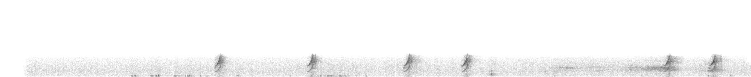 斑胸秧雞 - ML456081541