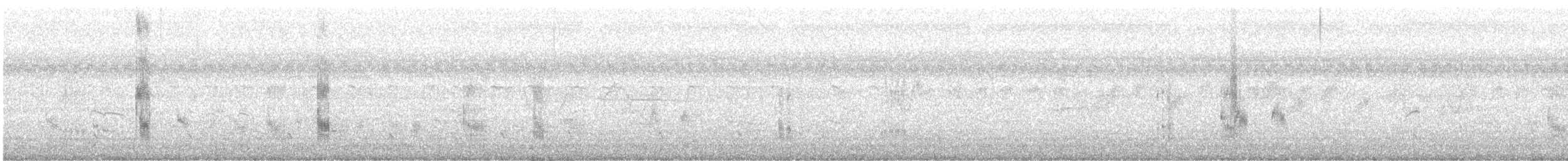 白翅黑燕鷗 - ML456083131