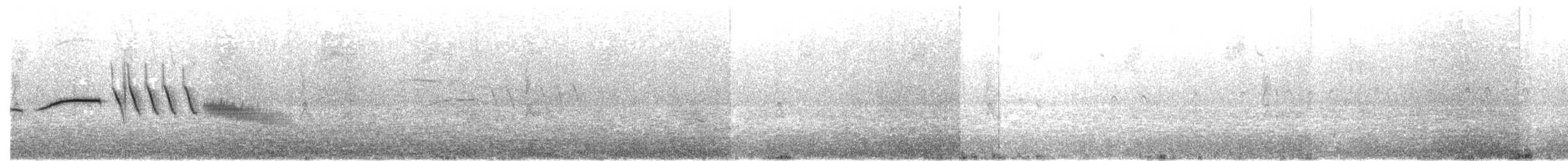 Bruant à couronne blanche (nuttalli) - ML456101681