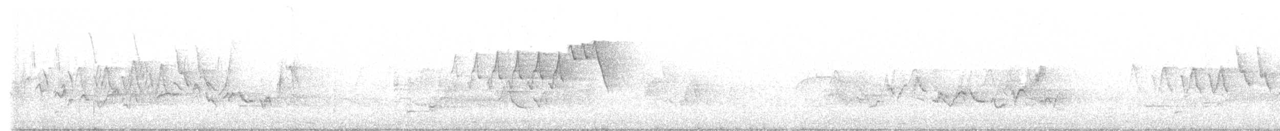 Oriole des vergers - ML456114521