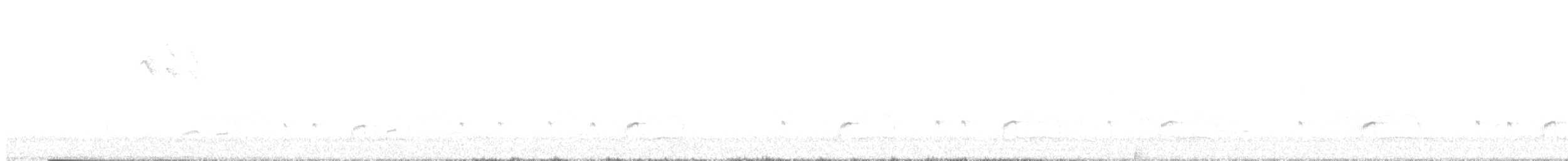 Little Ringed Plover - ML456148131