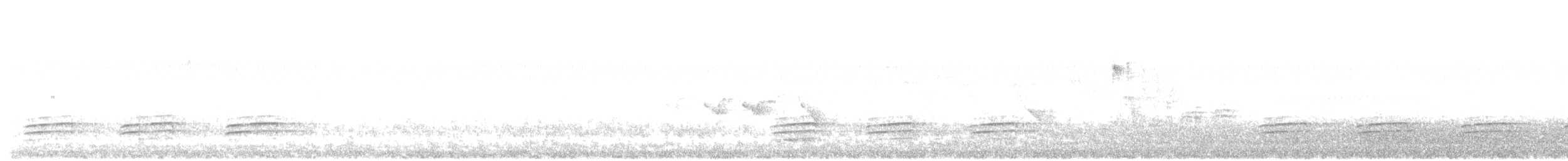 Red-breasted Nuthatch - ML456168511