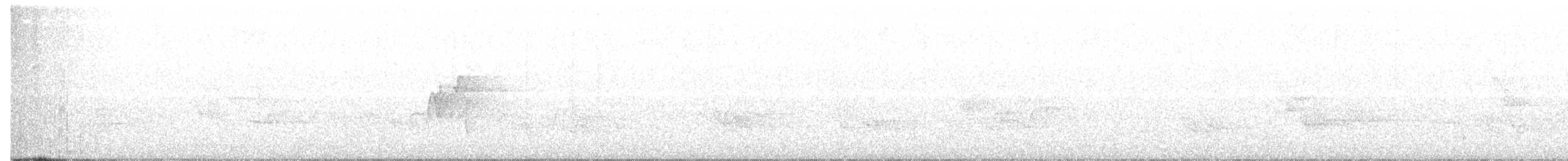 חטפית ירקרקה - ML456170101