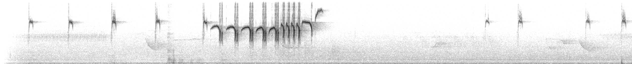 Fichtenwaldsänger - ML456172771