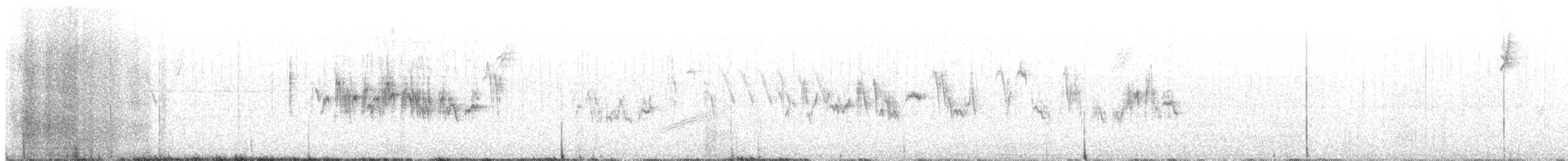 Black-throated Gray Warbler - ML456230521