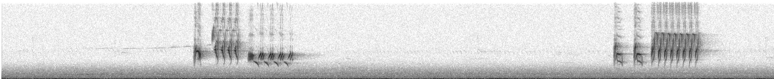 Eastern Towhee - ML456233791