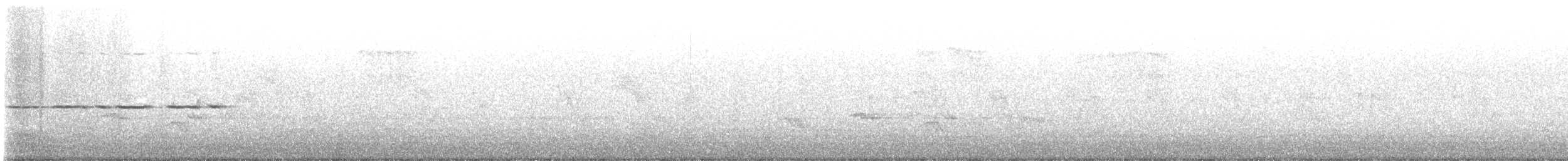 White-throated Sparrow - ML456237371