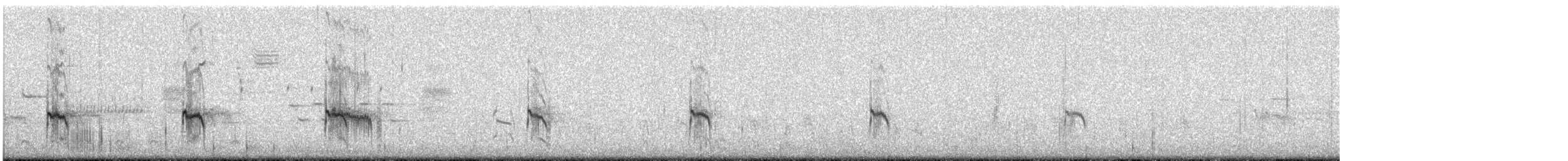 Piovanello pancianera - ML456241031