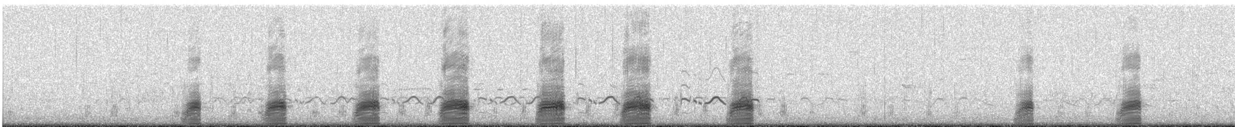 Germano reale - ML456241431