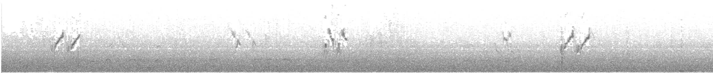 Lavandera Blanca (alboides) - ML456335071