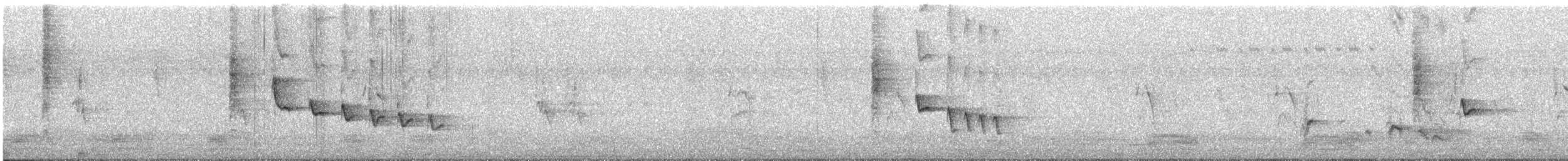 Мышиная нектарница - ML456364671