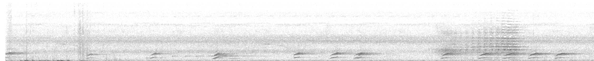 svartskrike (leucopterus) (hvitvingeskrike) - ML456381001