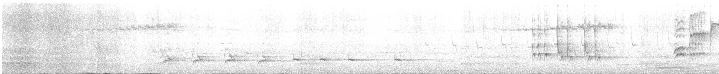Дууч хөөндэй - ML456387391