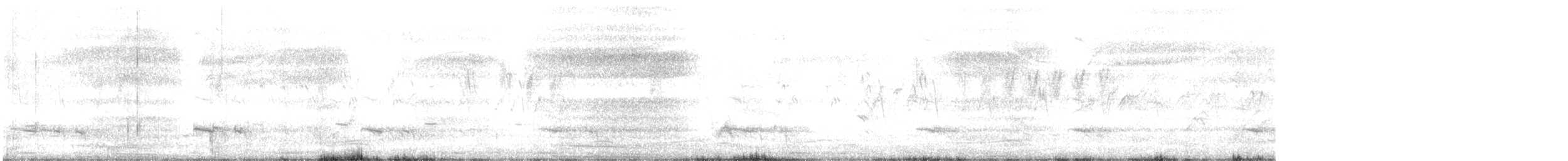 Pied Cuckoo - ML456394211