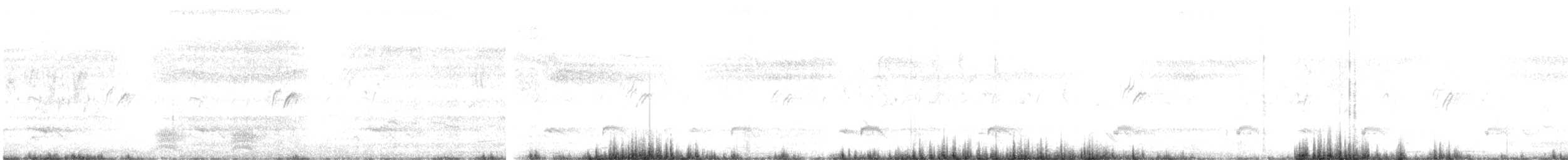 Pied Cuckoo - ML456394221