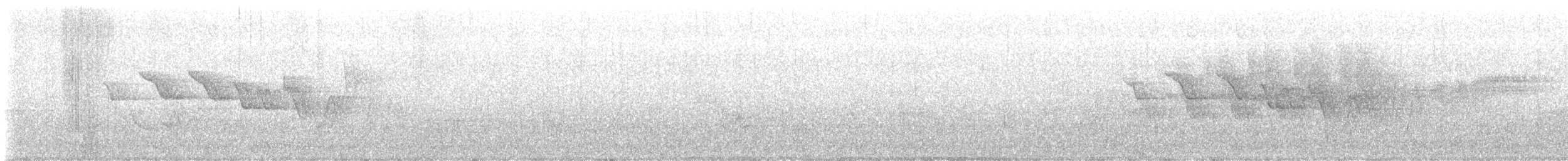 Louisiana Waterthrush - ML456402521