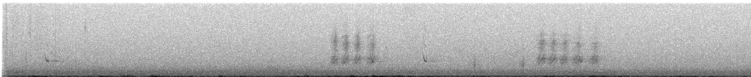 White-tailed Kite - ML456426931