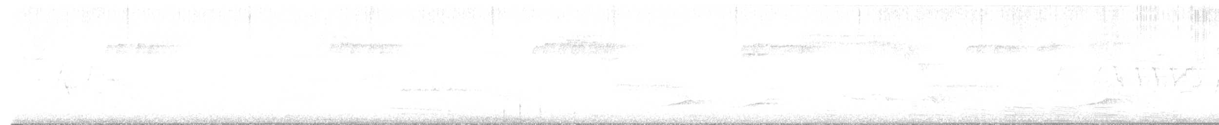Дрізд-короткодзьоб малий - ML456434531