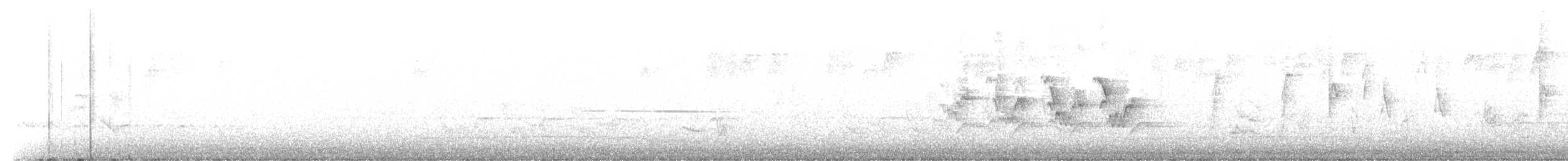 Черногорлая хвойница - ML456461541