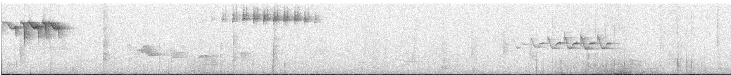 Blackpoll Warbler - ML456470051