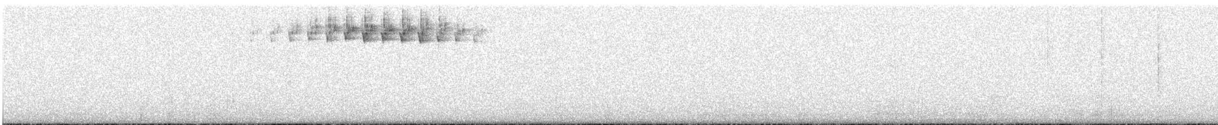 Blackpoll Warbler - ML456473751