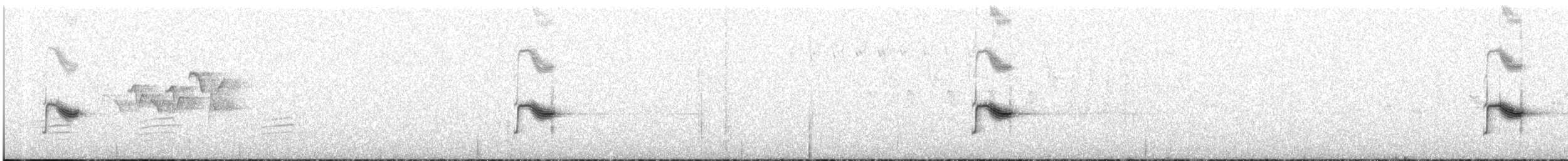 Bicknell's Thrush - ML456476391