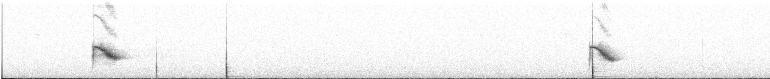 Bicknell's Thrush - ML456478541