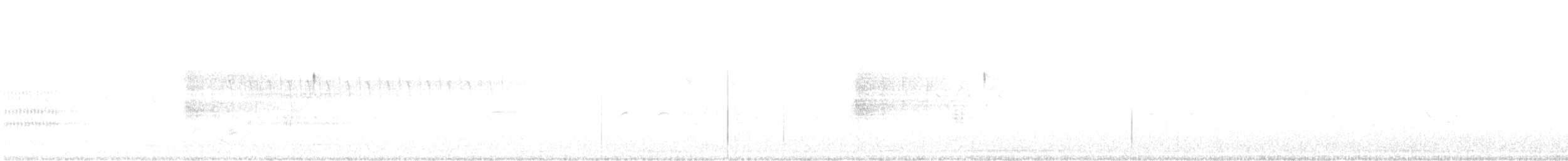 nålhalespurv (subvirgata) - ML456480071