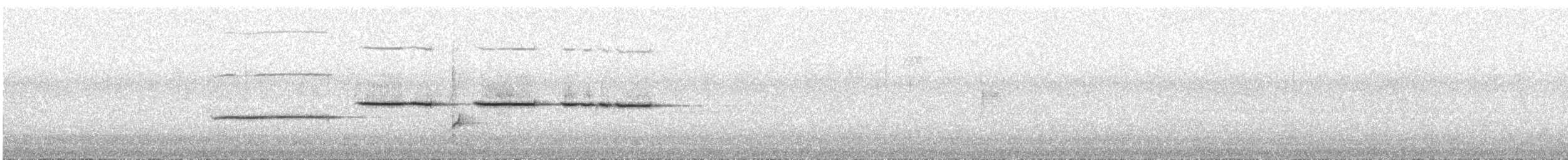 Белогорлая зонотрихия - ML456513651