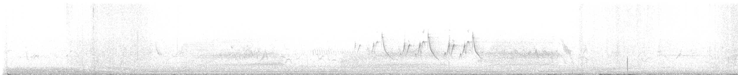 White-tailed Kite - ML456568211